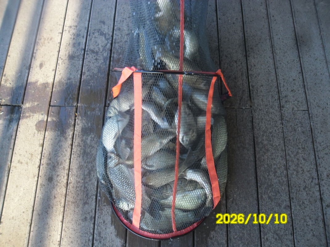 SAM_3417.JPG