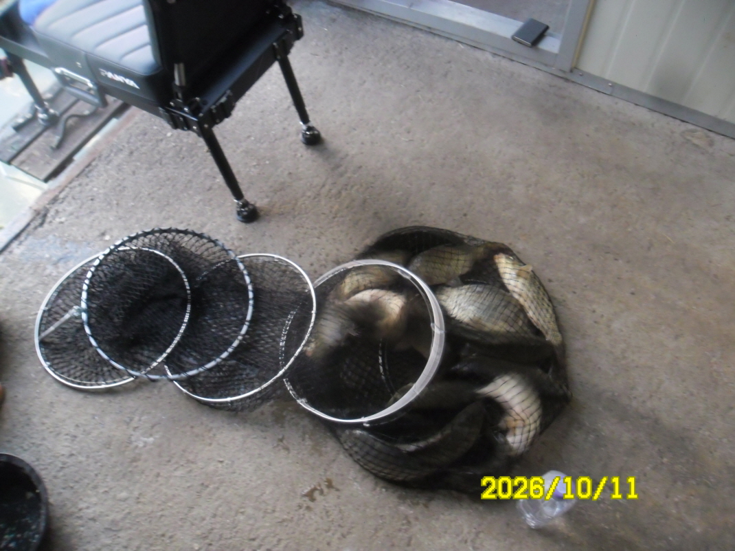 SAM_3433.JPG