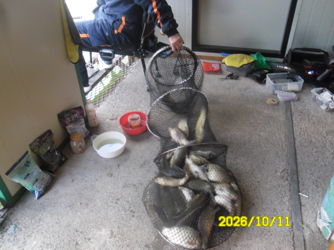 SAM_3445.JPG