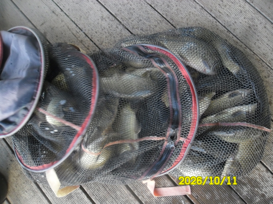 SAM_3470.JPG
