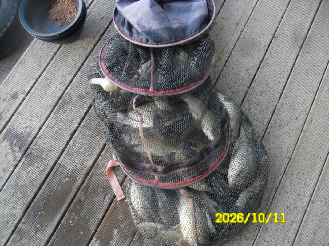 SAM_3471.JPG