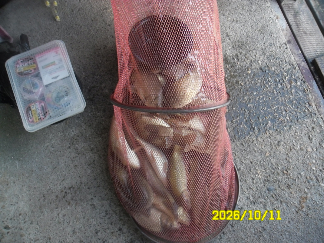 SAM_3474.JPG