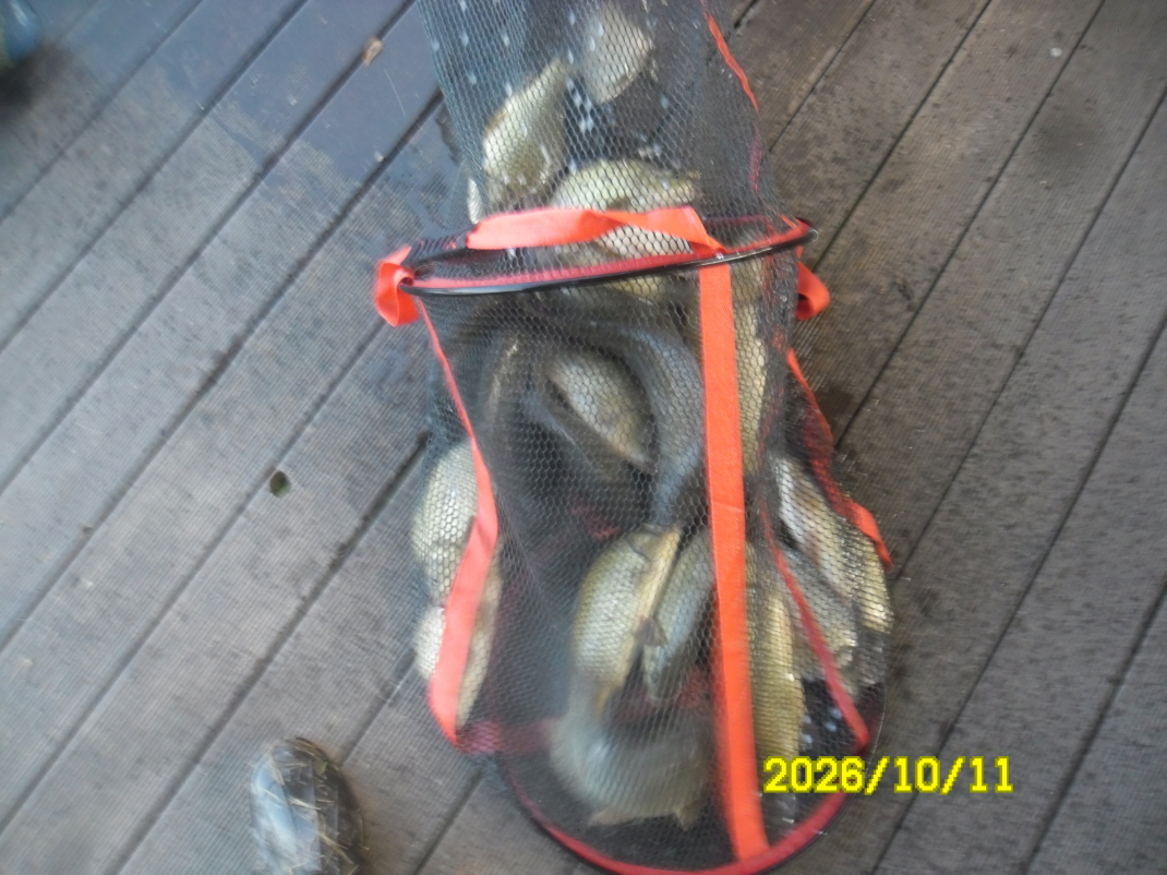 SAM_3480.JPG