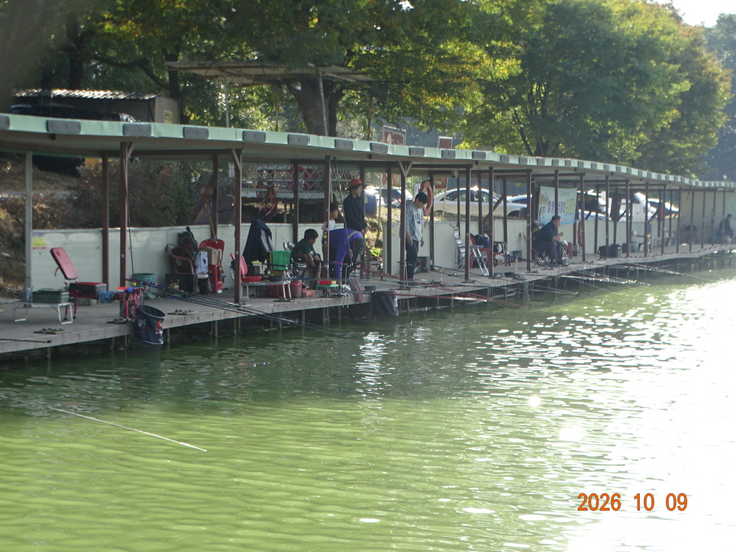 DSC09667.JPG