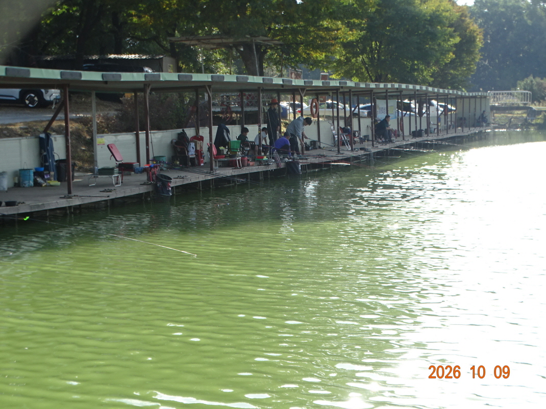 DSC09664.JPG