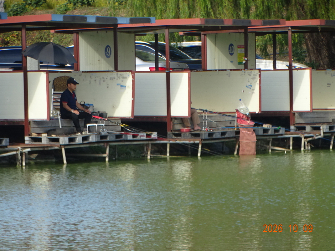 DSC09684.JPG