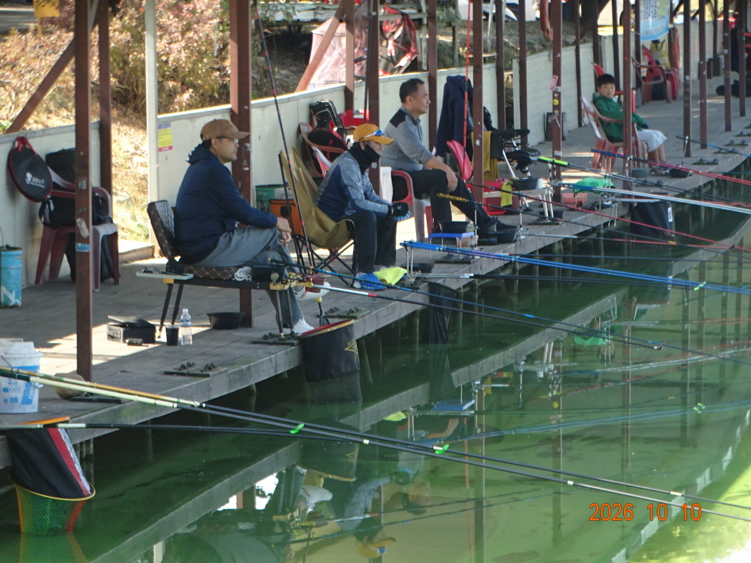 DSC09778.JPG