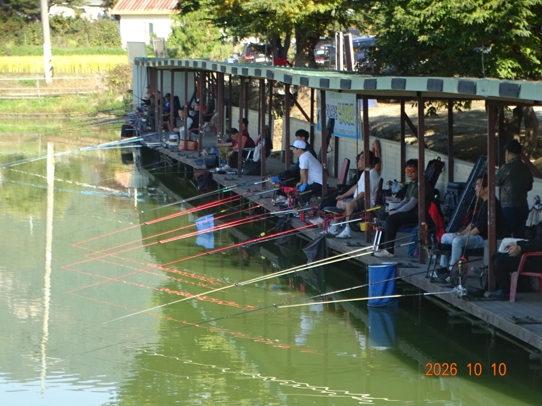 DSC09784.JPG