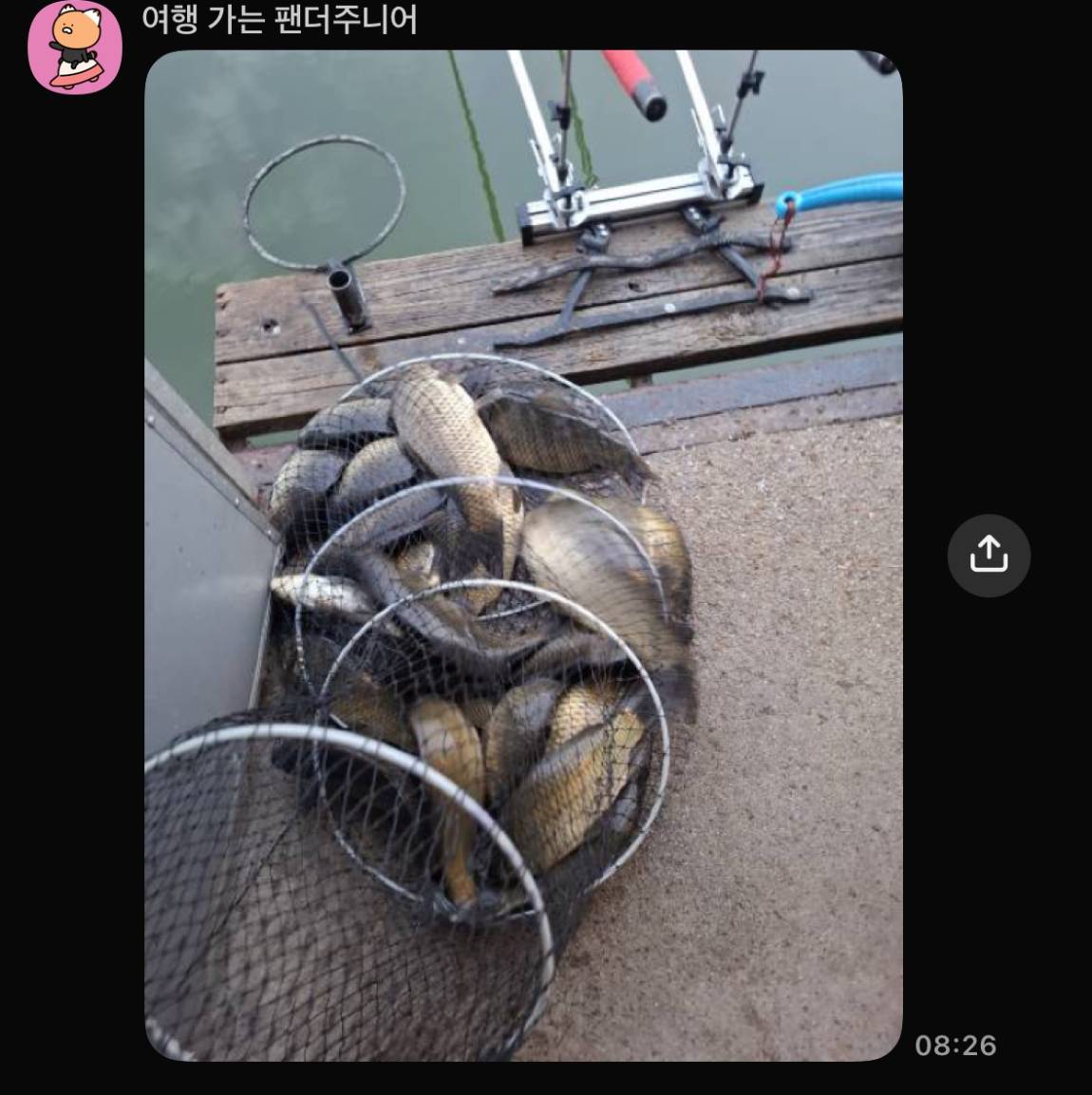 KakaoTalk_20261013_062026083.jpg