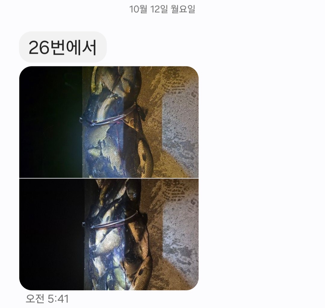 KakaoTalk_20261012_135506108.jpg