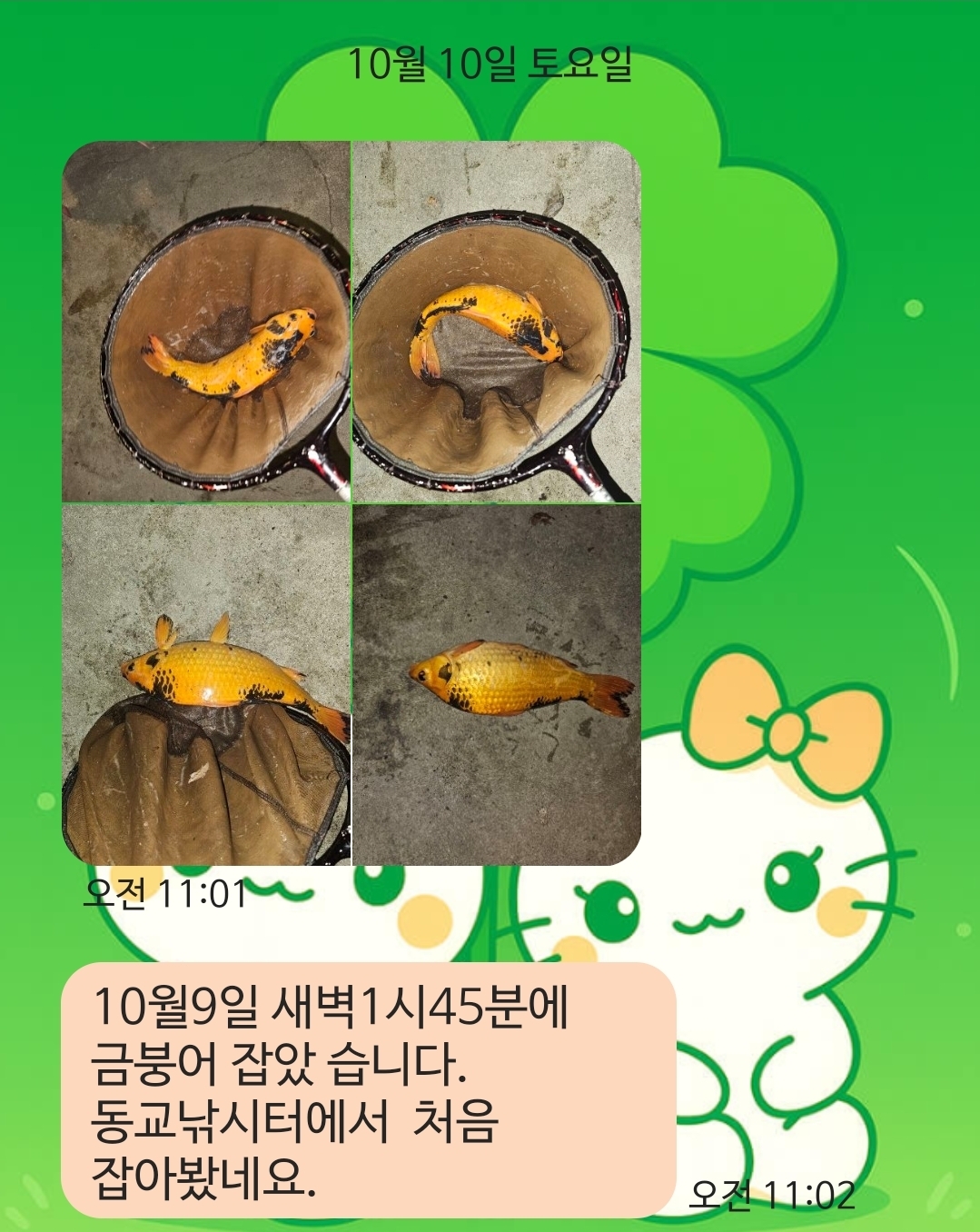 KakaoTalk_20261012_135846584.jpg