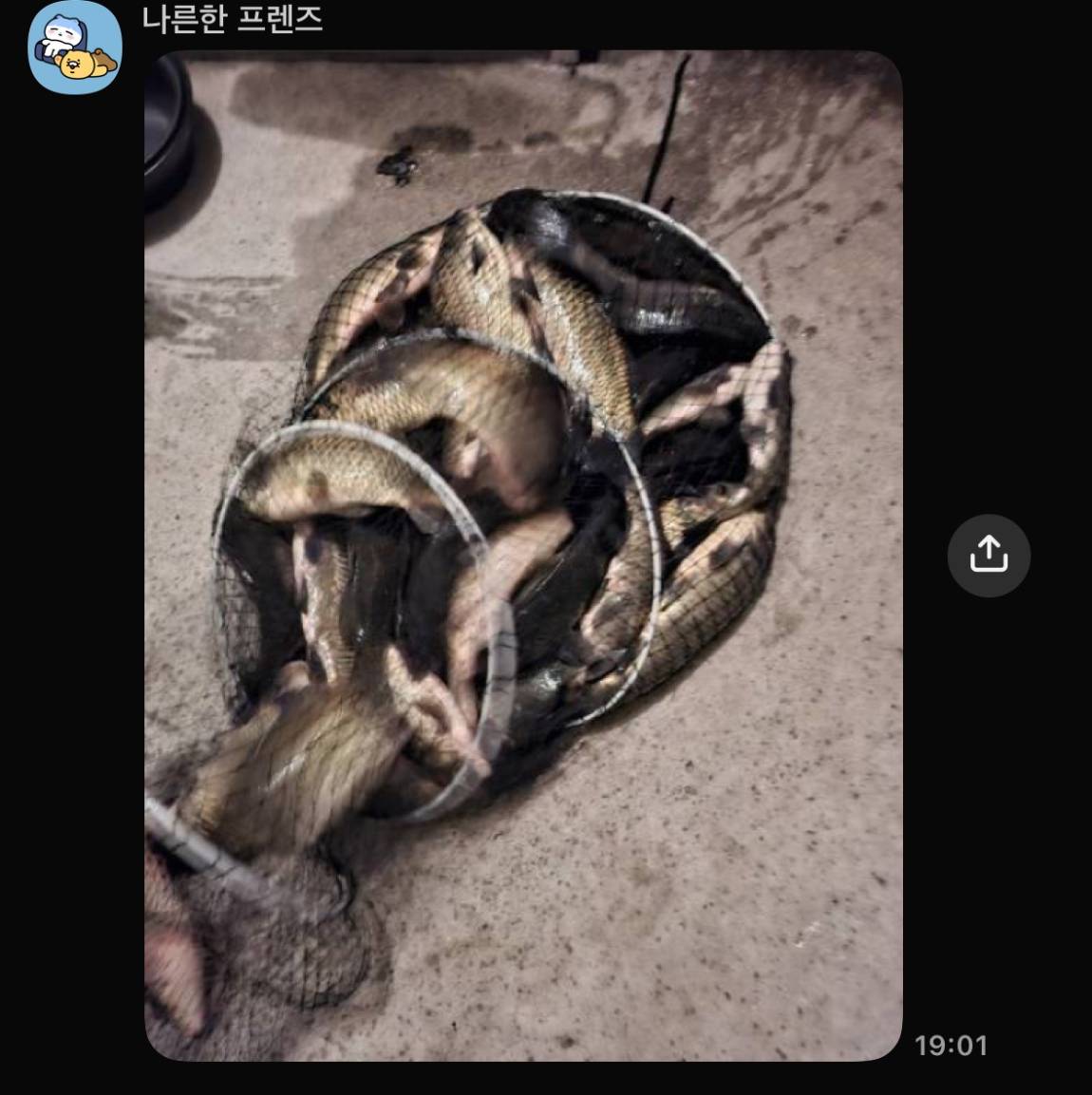 KakaoTalk_20261015_084552506.jpg