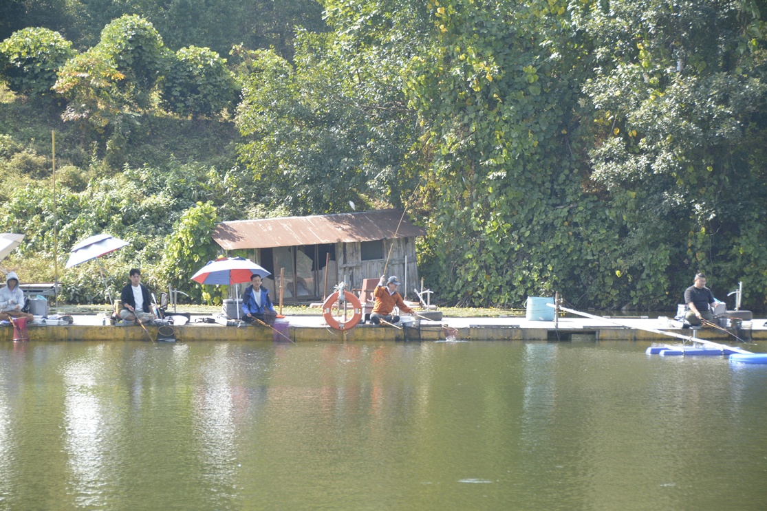 _7104931.JPG