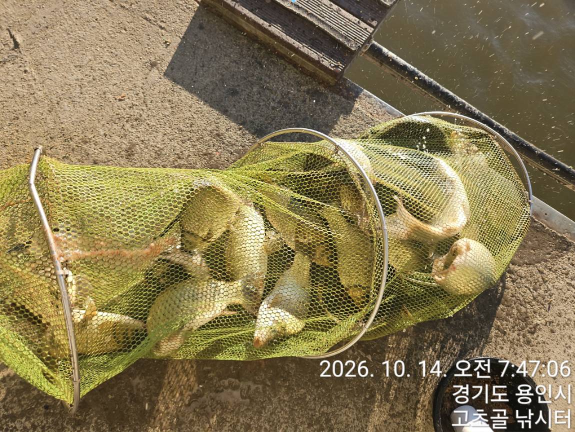 1791971176305.jpg