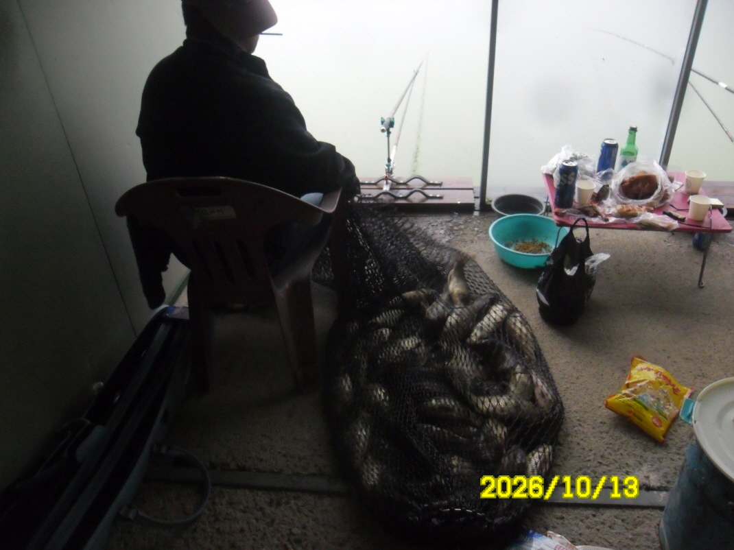 SAM_3539.JPG