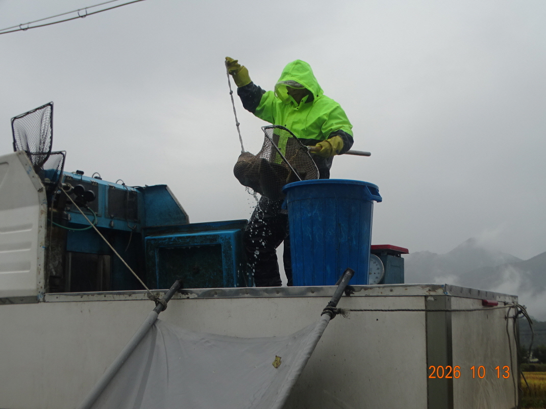 DSC09874.JPG