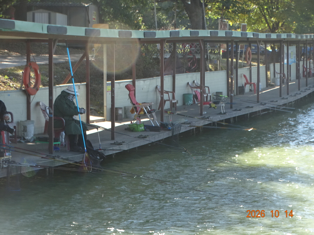 DSC09902.JPG