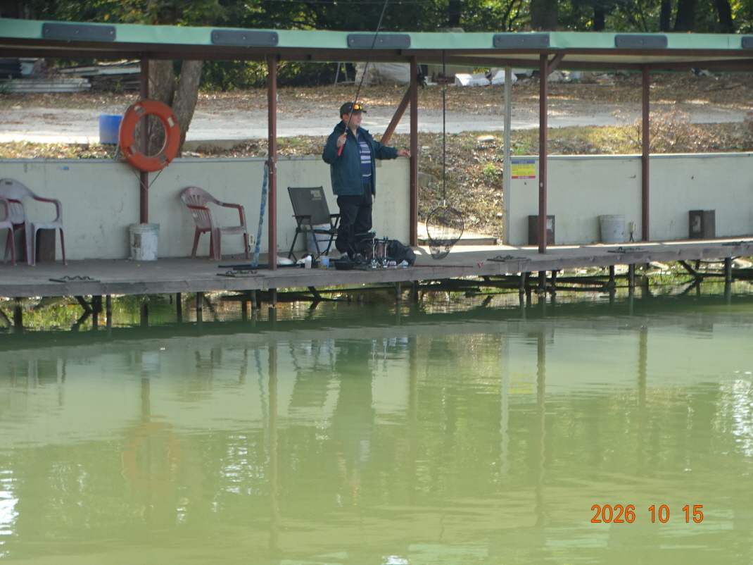 DSC09929.JPG