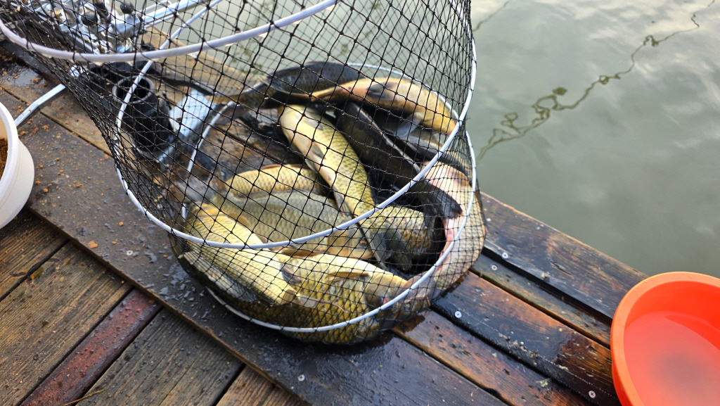 abKakaoTalk_20261016_092421665_23.jpg