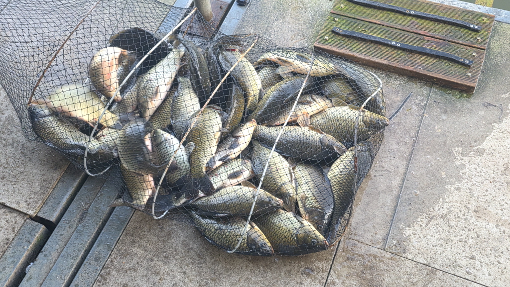 abKakaoTalk_20261017_103757495_26.jpg