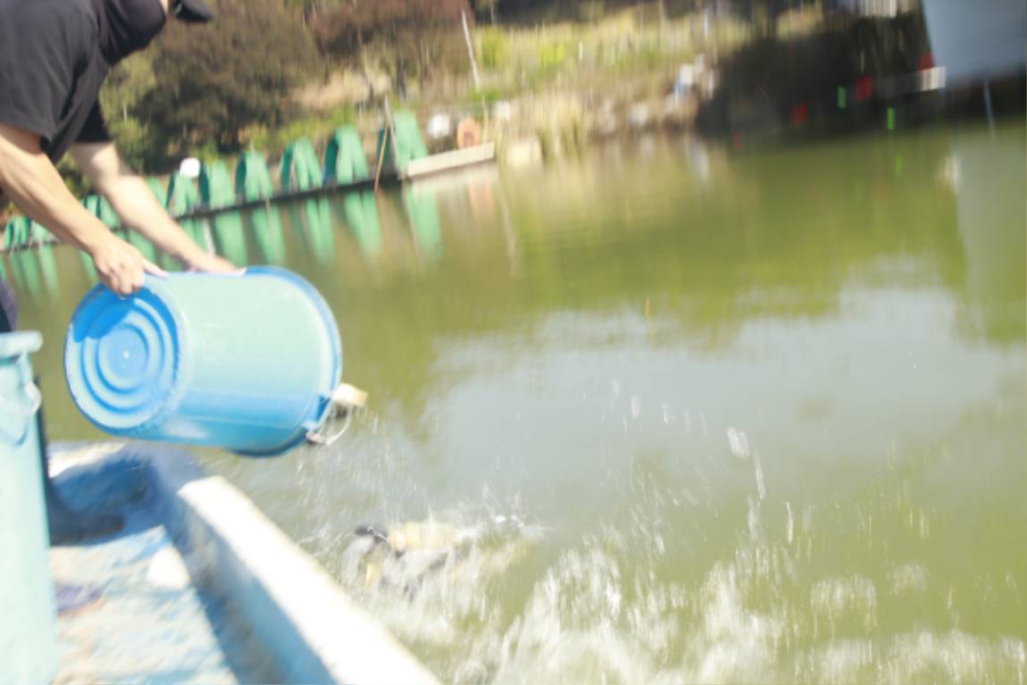 _MG_8533.JPG