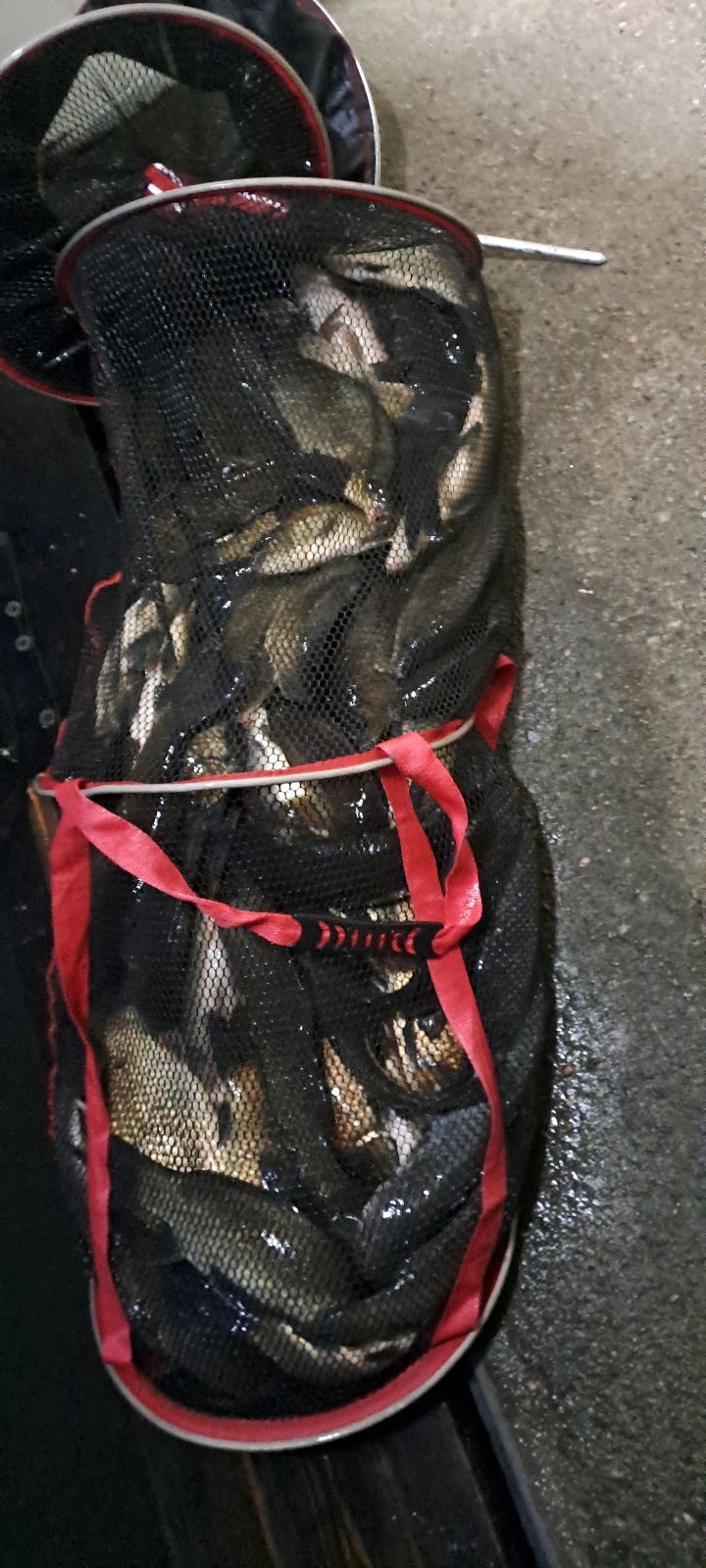 KakaoTalk_20261019_110634251_04.jpg