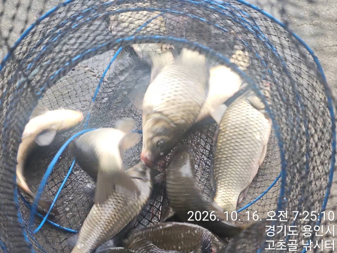 1792381735642.jpg