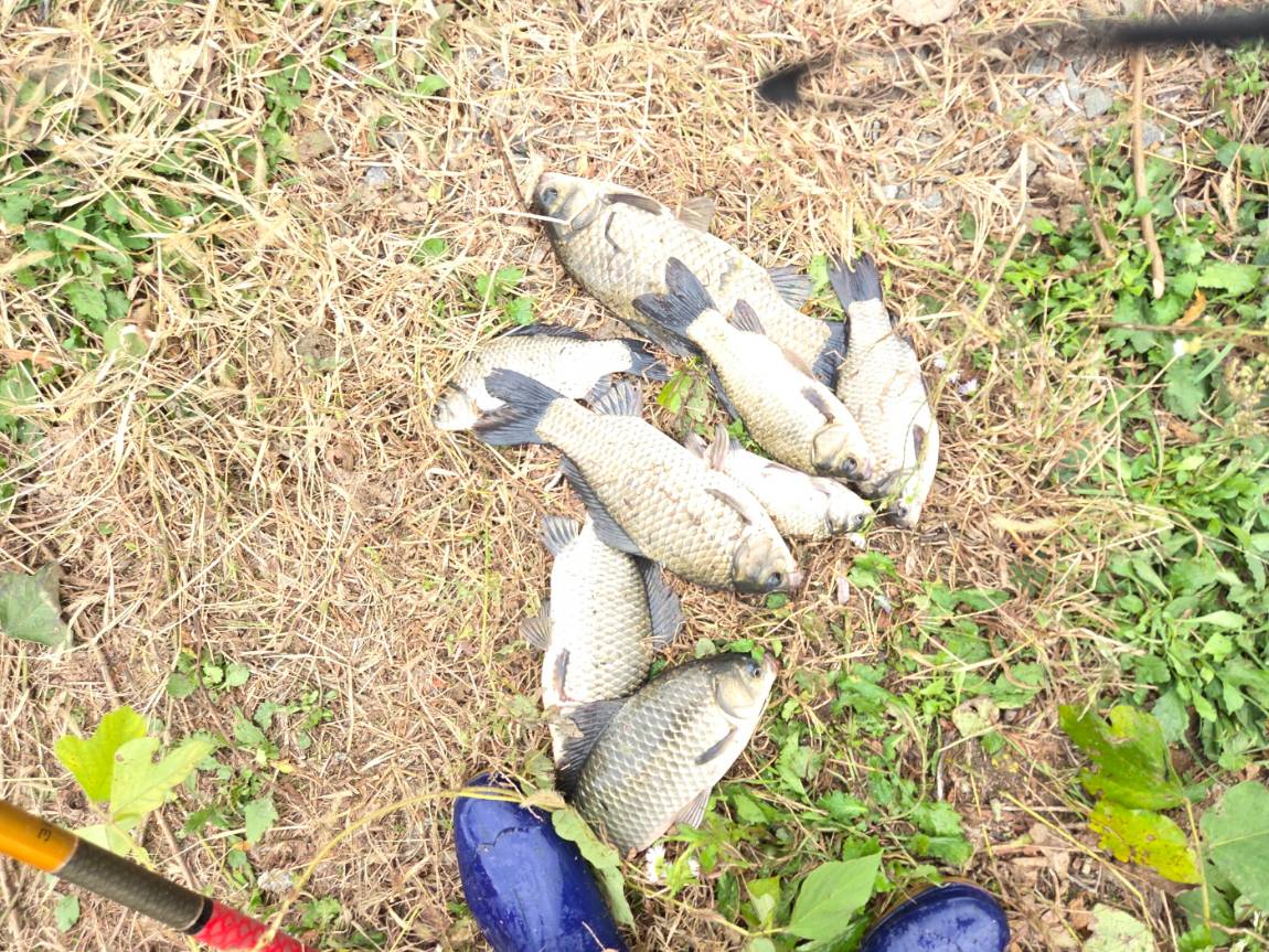 KakaoTalk_20261018_223427958.jpg