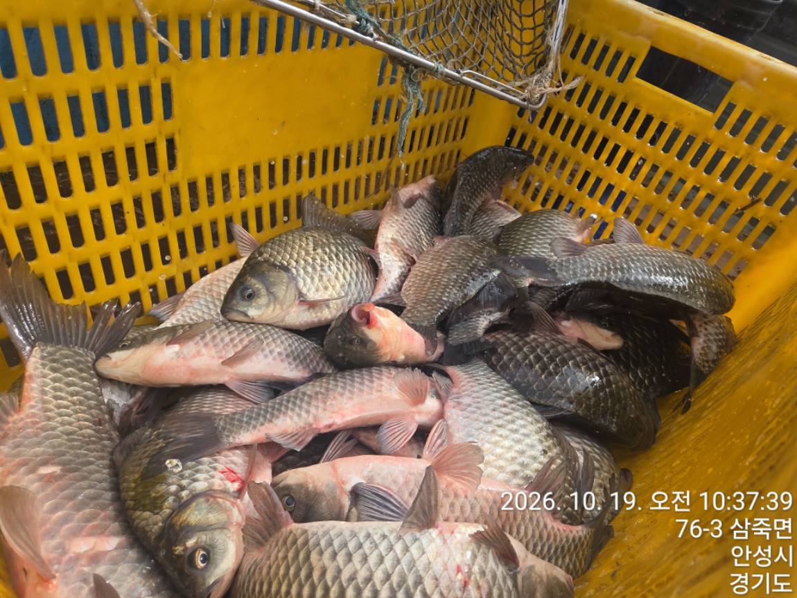 KakaoTalk_20261019_210723941.jpg