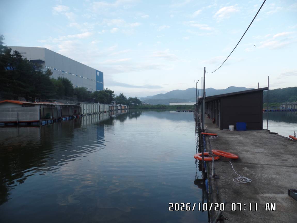 SAM_0904.JPG