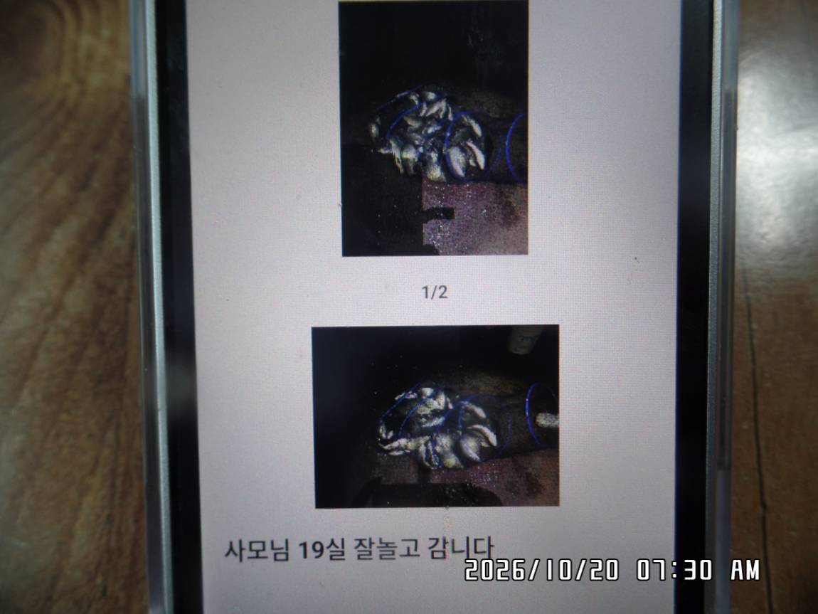 SAM_0924.JPG