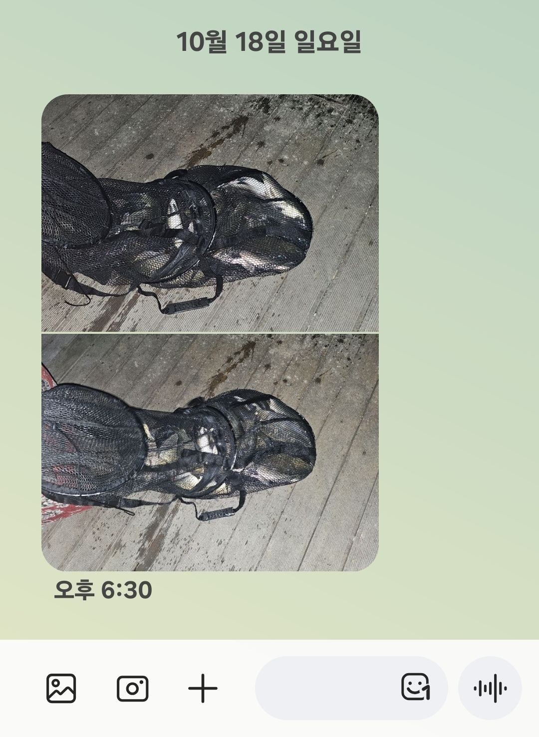 Screenshot_20261018_183421_Messages.jpg
