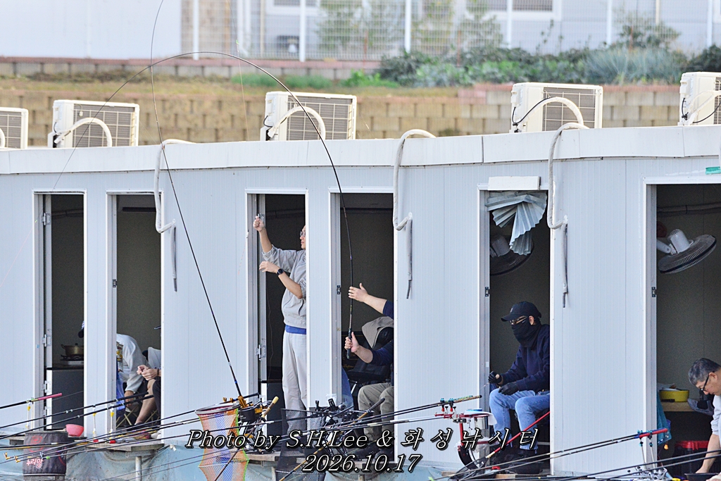 LSH_0444.JPG