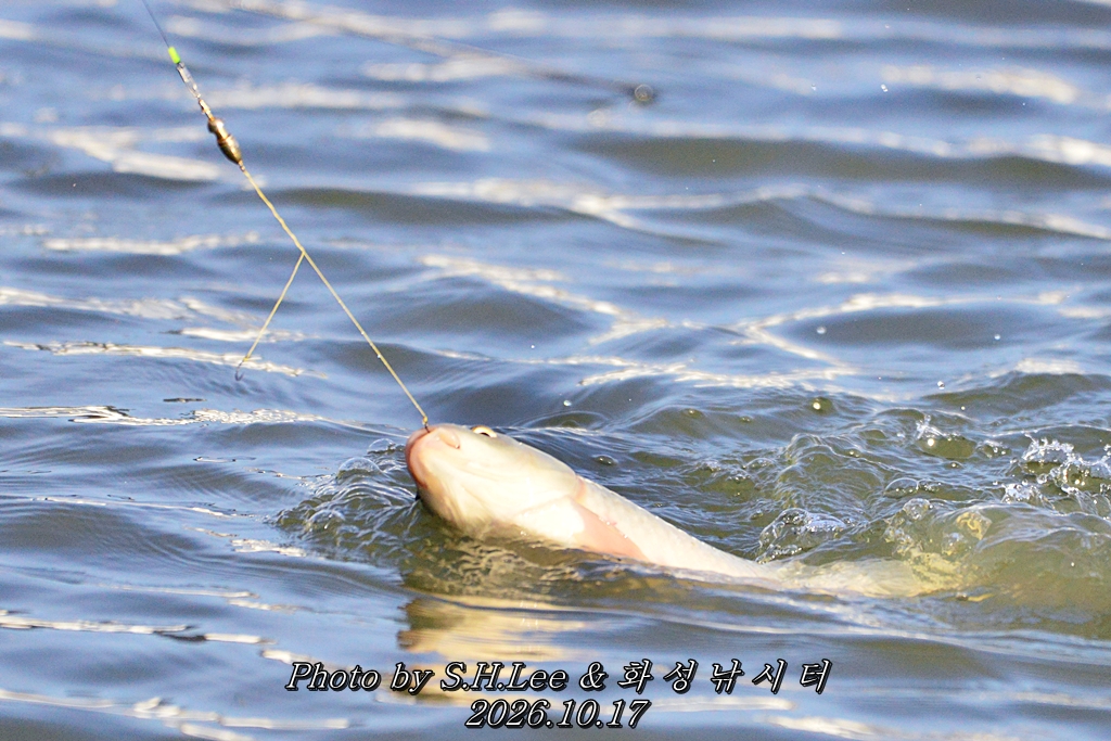 LSH_0459.JPG