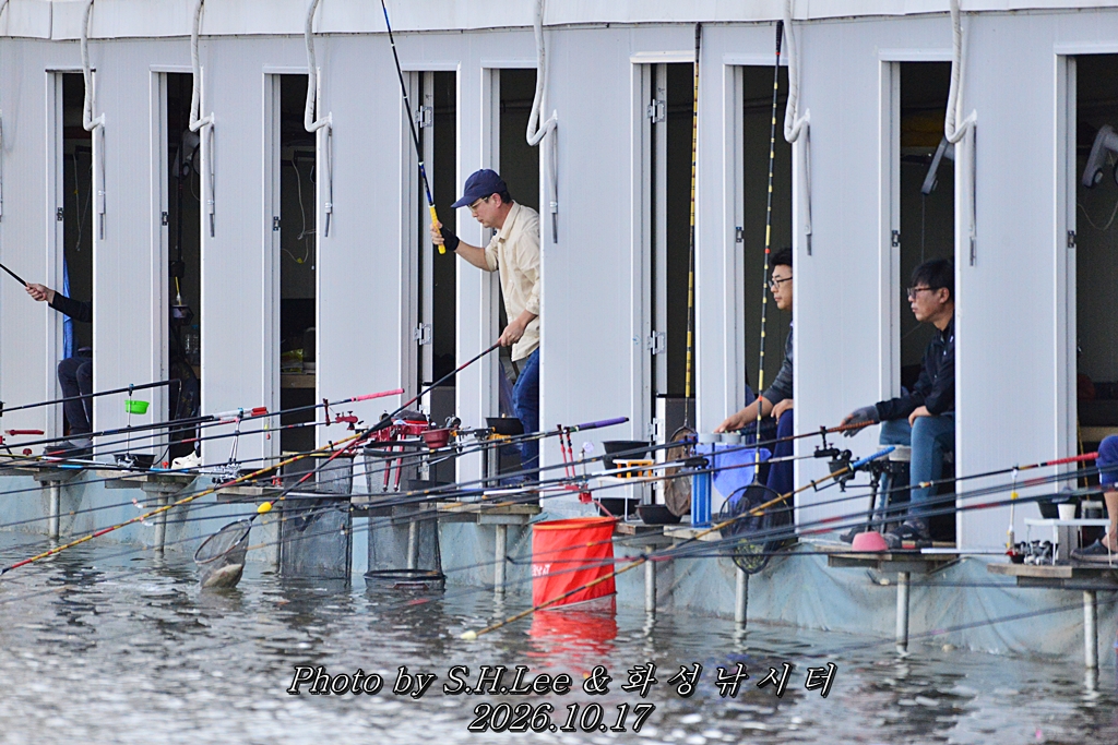 LSH_0470.JPG