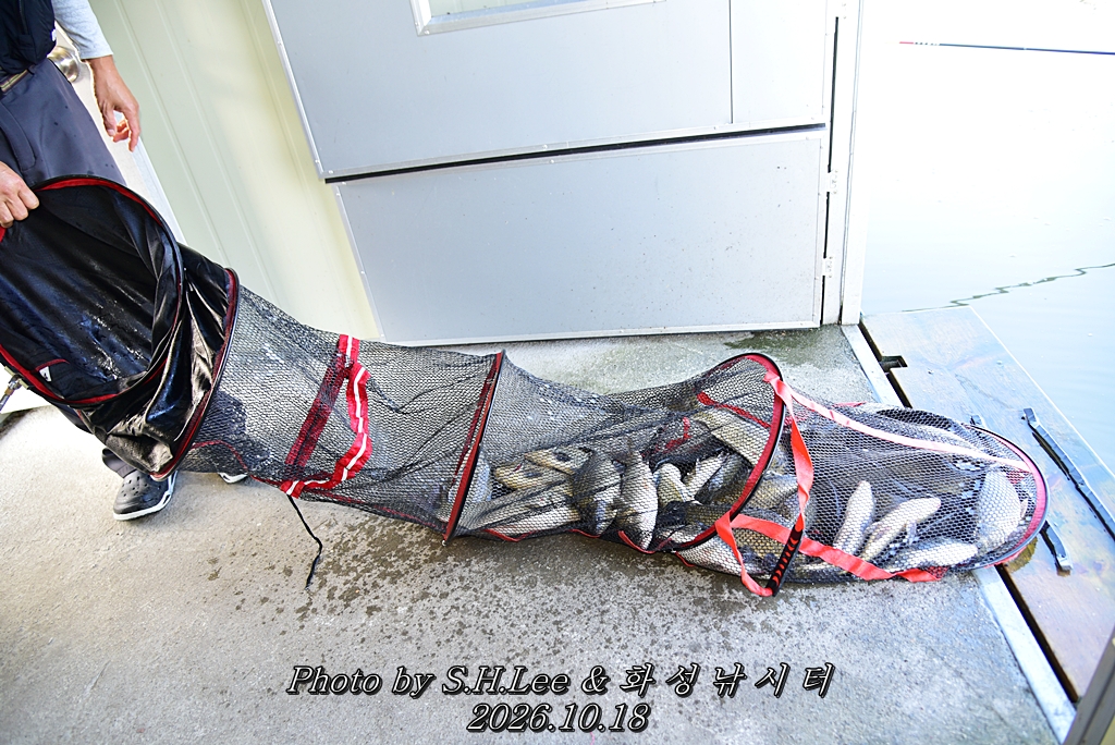 LEE_7119.JPG