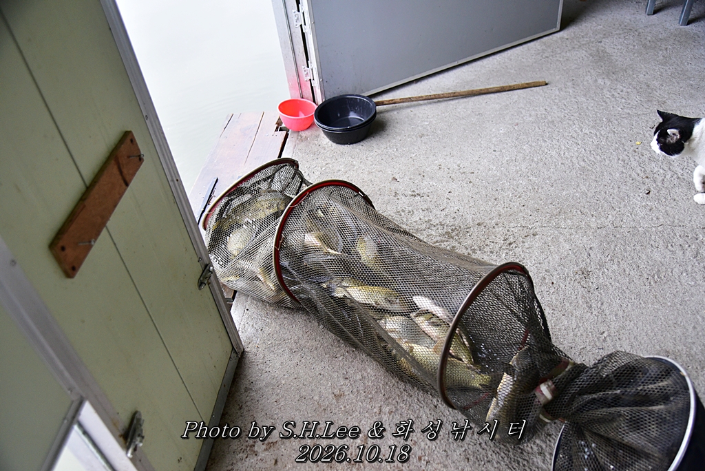 LEE_7156.JPG
