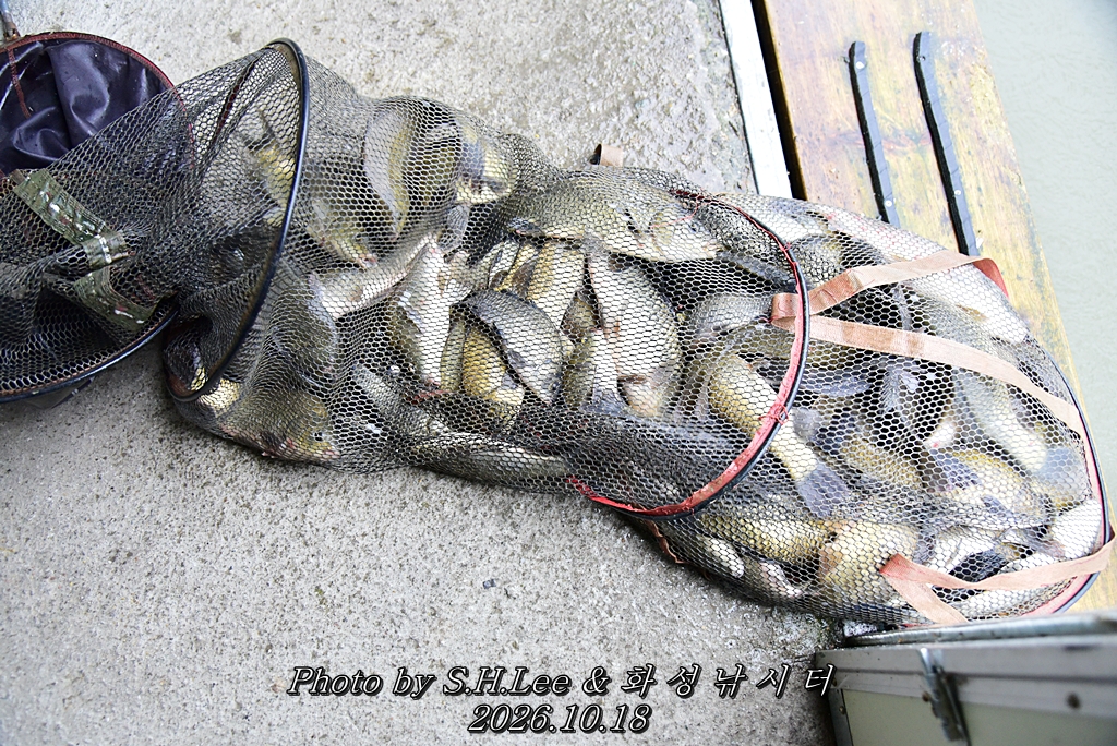 LEE_7189.JPG