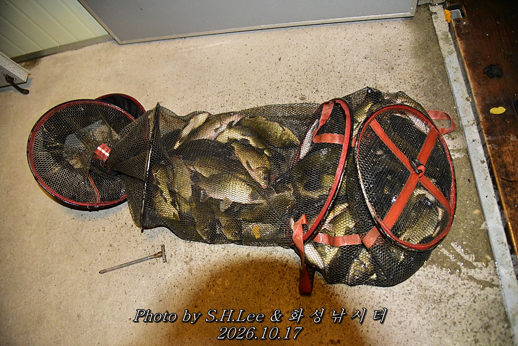LEE_7085.JPG