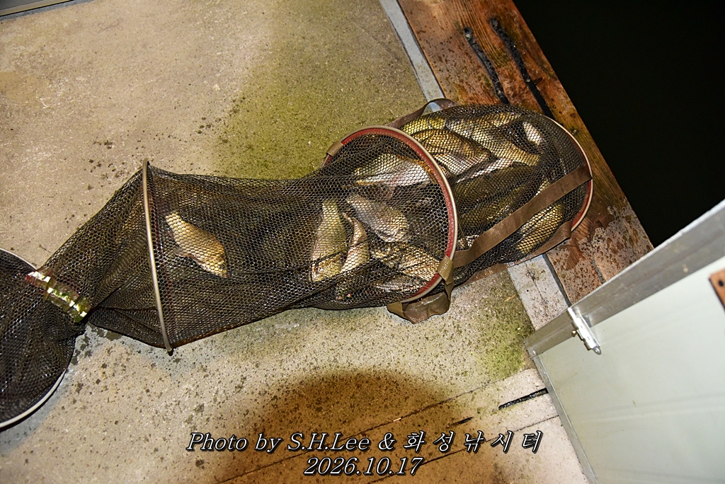 LEE_7089.JPG