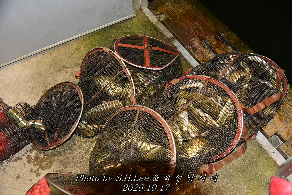 LEE_7094.JPG
