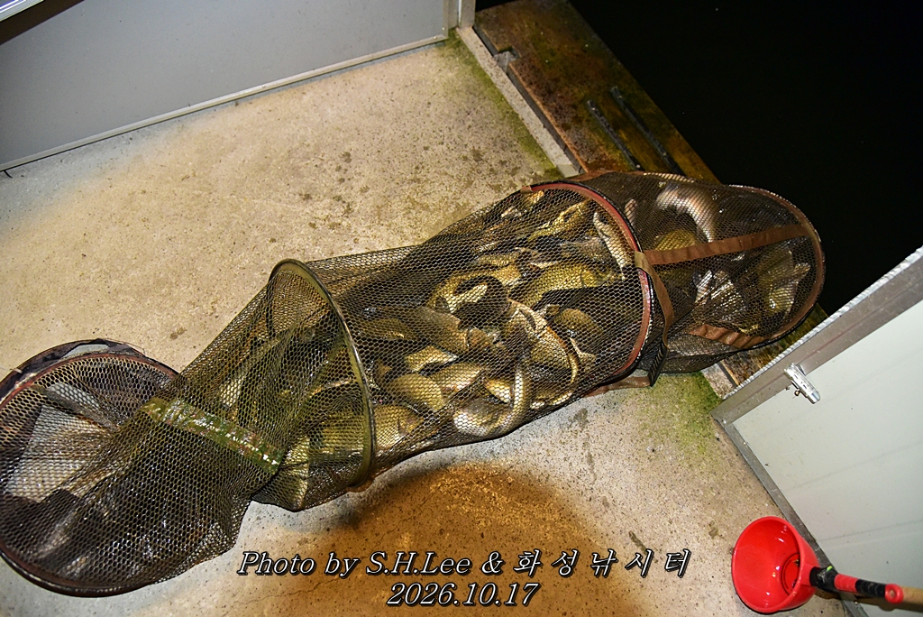 LEE_7099.JPG