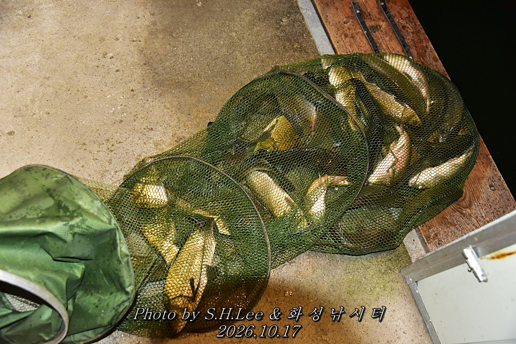 LEE_7103.JPG