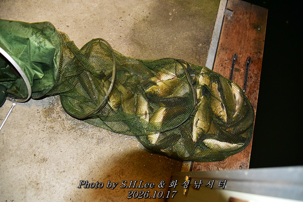 LEE_7104.JPG