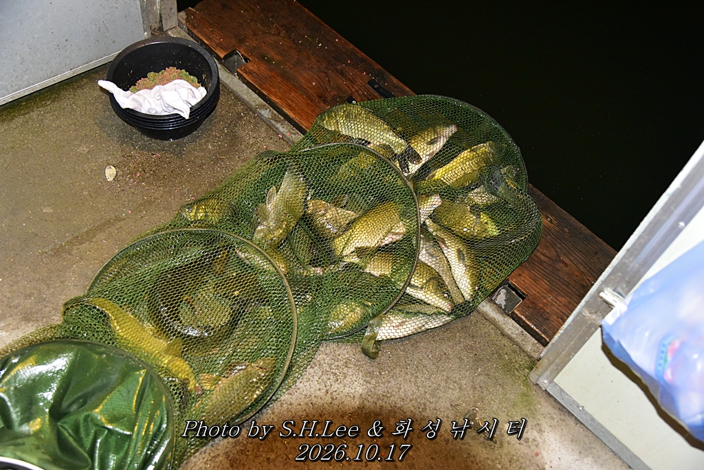 LEE_7106.JPG