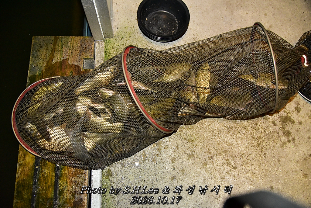 LEE_7112.JPG