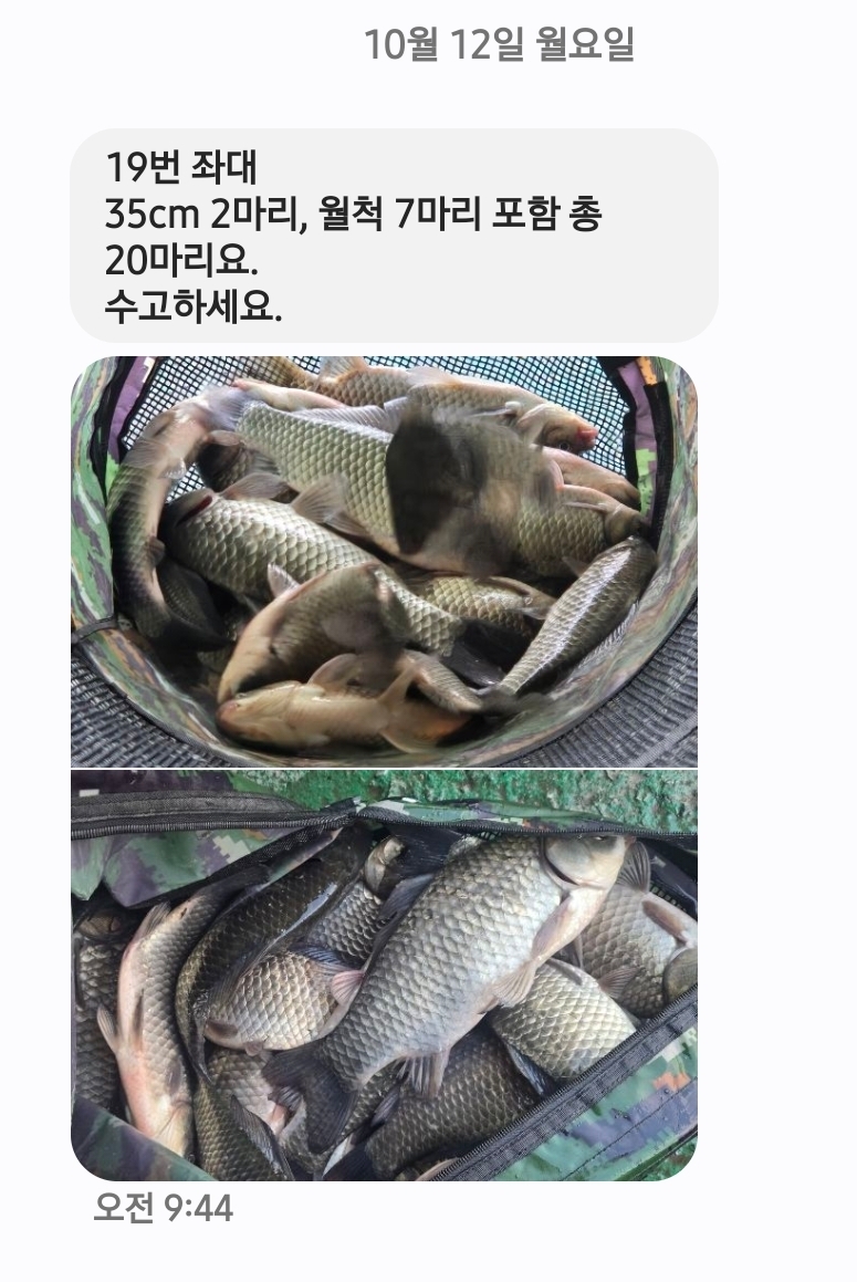 Screenshot_20261012_103133_Messages.jpg