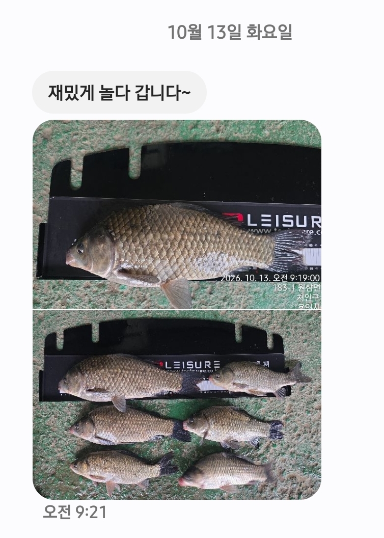 Screenshot_20261013_105902_Messages.jpg