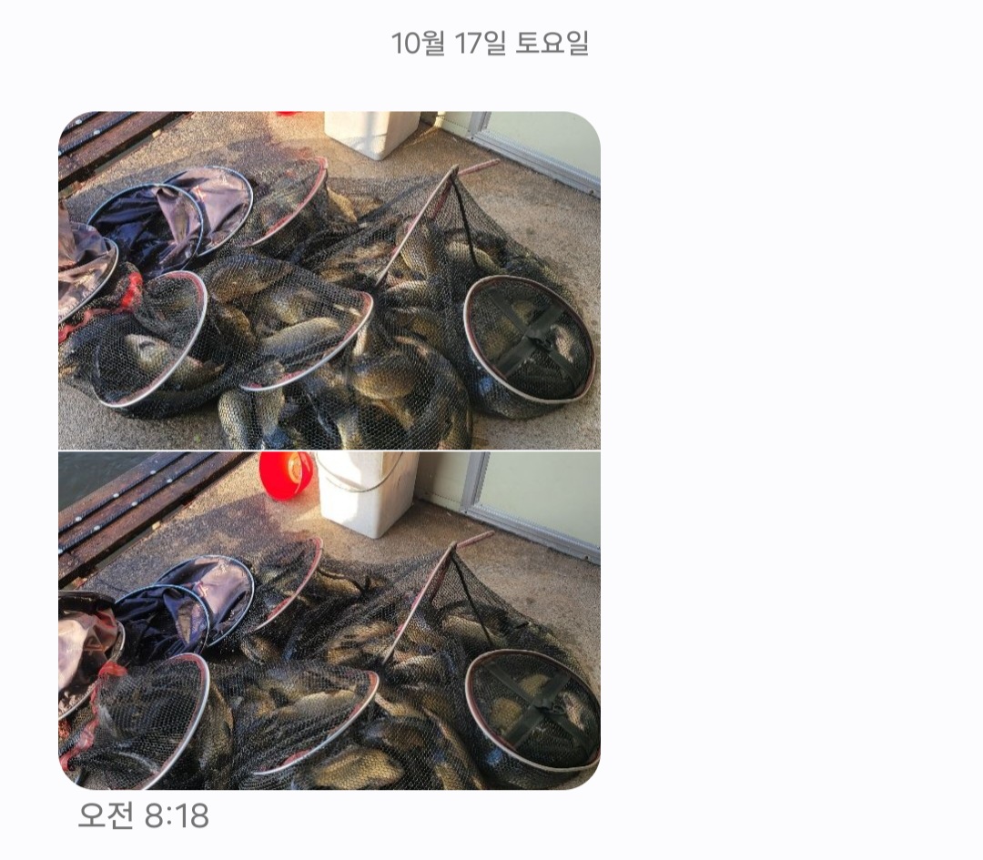 KakaoTalk_20261020_161427006_01.jpg