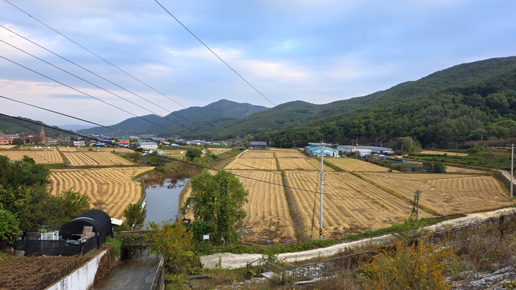 abKakaoTalk_20261021_072401353_01.jpg